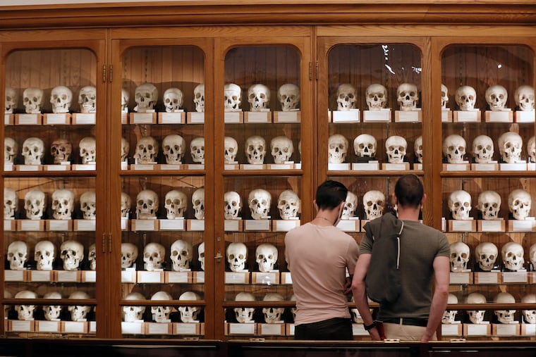 Guests view the Hyrtl skull collection at The Mütter Museum of the College of Physicians of Philadelphia on Sept. 9, 2020. The organization just named a new CEO