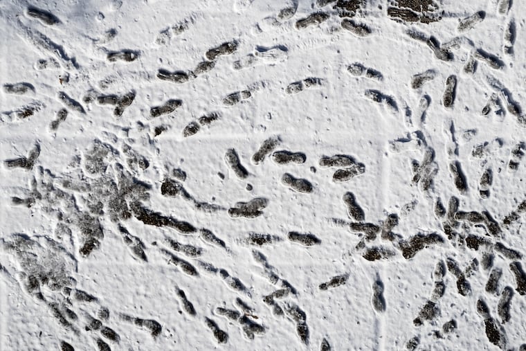 Shoe prints in the snow along Kelly Drive and the Schyulkill River Trail last week. Could you tell whether that's 0.1 or 0.3 inches?