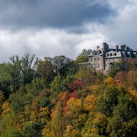 Donald Trump was able to cut his taxable income by $21 million by promising to preserve the woodlands in his family estate in Westchester County, N.Y.  A land trust in Chadds Ford accepted Trump's pledge not to develop the land, the basis of his tax cut.